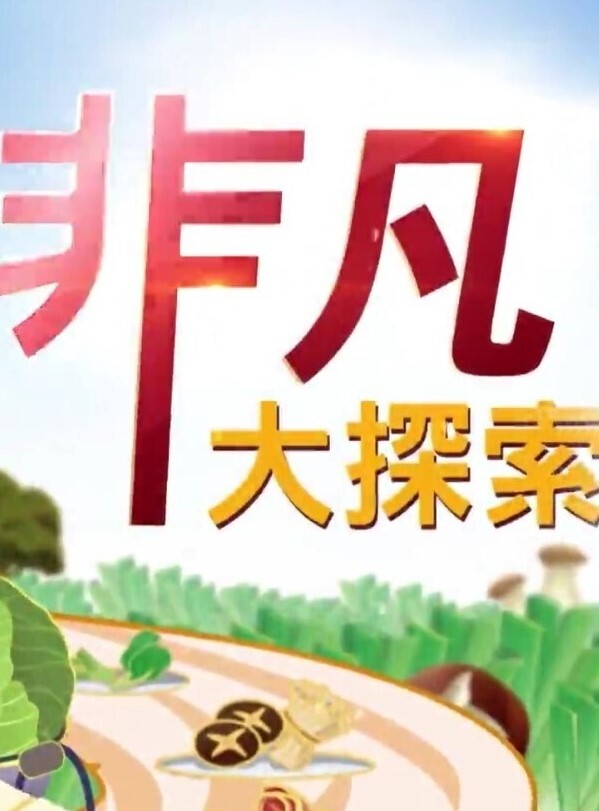 网爆门事件黑龙江家装设计师吴金娜超级喜欢被肉棒操到高潮来寻找灵感淫荡的样子像极了母狗 - 啪啪啪啪